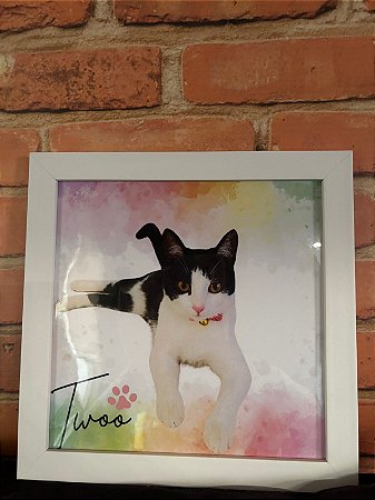 Quadro Personalizado PET + Moldura