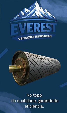 REVESTIMENTO EM BORRACHA E VULCANIZAÇAO