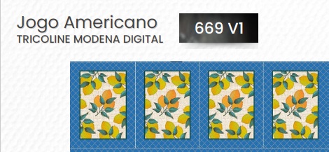 4 UNID JOGO AMERICANO REF 447D-669-VI 0,50X1,50 IBIRAPUERA