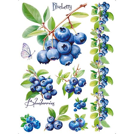 TRANSFER TÊXTIL 20X27,5CM TTR6-032 BLUEBERRY