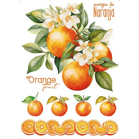 TRANSFER TÊXTIL 20X27,5CM TTR6-022 LARANJA I LITOARTE