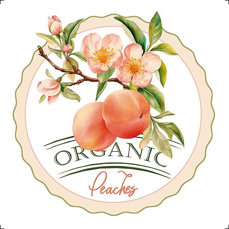 TRANSFER TÊXTIL 8X8CM TTQ2-005 PESSEGO LITOARTE