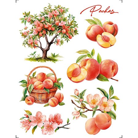 TRANSFER DE IMAGEM 15X19,5CM TIM-004 PÊSSEGO LITOARTE