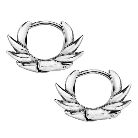 Brinco Masculino Fênix - PAR