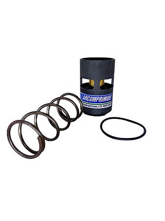 Kit Reparo Válvula Termostática 2901906700 Chicago Pneumatic
