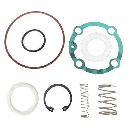Kit Reparo da Válvula de Admissão Similar 3060596 Metalplan