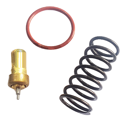 Kit Reparo Válvula Termostática Similar 021.0034-0 do Schulz