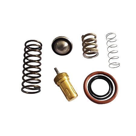 Reparo Válvula Pressão Mínima e Termostática Chicago CPB40