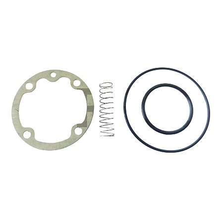 Kit de Reparo da Válvula de Admissão 021.1032-0 Schulz