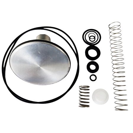 Kit de Reparo da Válvula de Admissão 1704132 Metalplan