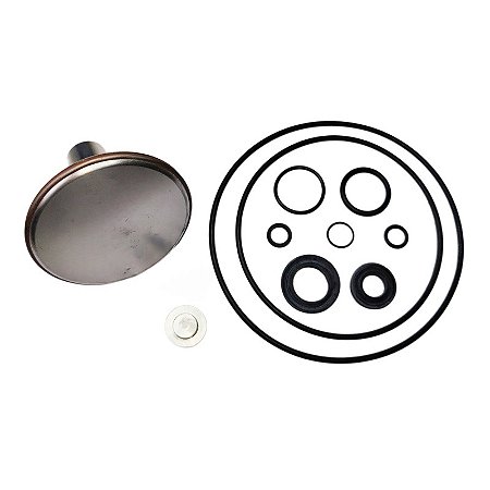 Kit de Reparo da Válvula de Admissão 01704133 Metalplan