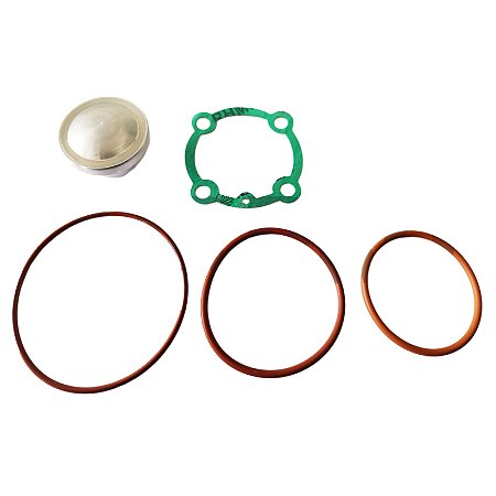 Kit de Reparo da Válvula de Admissão 3060213 Metalplan