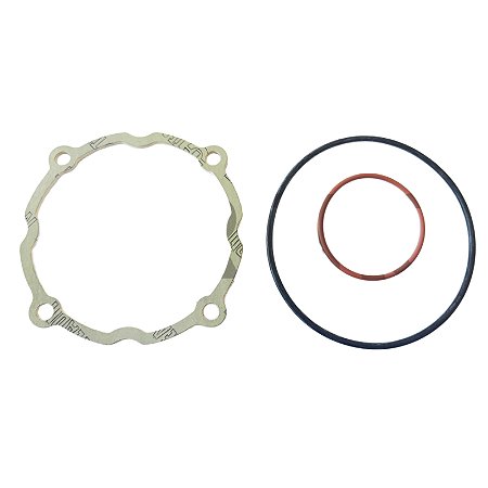 Kit de Reparo da Válvula de Admissão 3060674 Metalplan