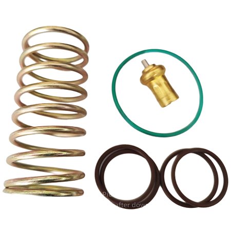 Kit Reparo Válvula Termostática 2205490592 Chicago Pneumatic