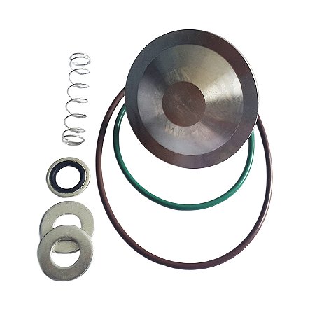Kit Reparo Válvula de Retenção de ar 2901007700 Atlas Copco