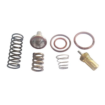 Kit Reparo Termostática e Pressão Mínima 3060113 Metalplan