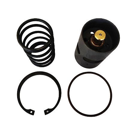 Kit de Reparo da Válvula Termostática 1623992500 Atlas Copco