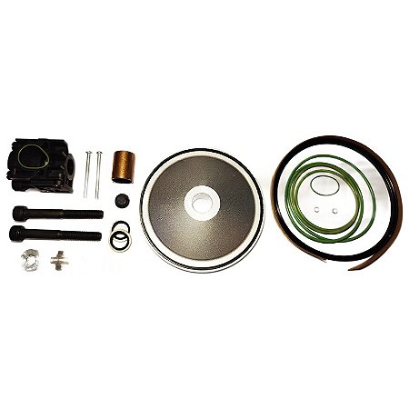 Kit de Reparo Válvula de Admissão 1028865392 Chicago