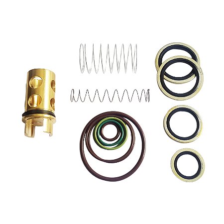 Kit Reparo Válvula Retenção óleo 2901021701 Chicago