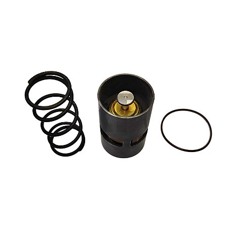 Reparo da válvula termostática 1619749300 Chicago Pneumatic