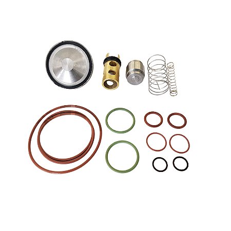 Reparo válvula de retenção de ar e óleo 2901204600 Chicago