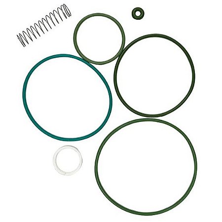 Kit Reparo Válvula Admissão RH38 Similar 148.102 para Puma