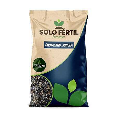SEMENTES DE CROTALARIA JUNCEA