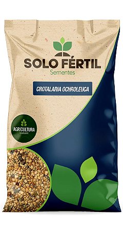 SEMENTES DE CROTALARIA OCHROLEUCA