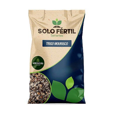 SEMENTES DE TRIGO MOURISCO (SARACENO)