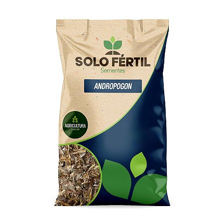 SEMENTES DE CAPIM ANDROPOGON