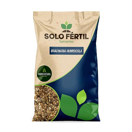 SEMENTES DE BRACHIARIA HUMIDICULA
