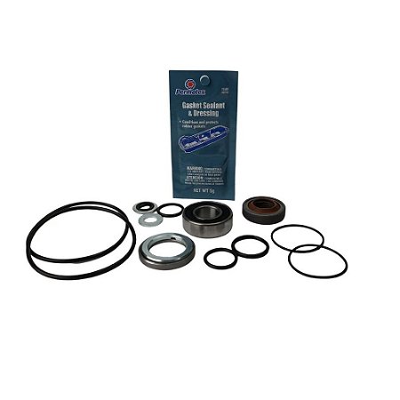 Kit Reparo de Motor Hidráulico Hypro (3430-0748)