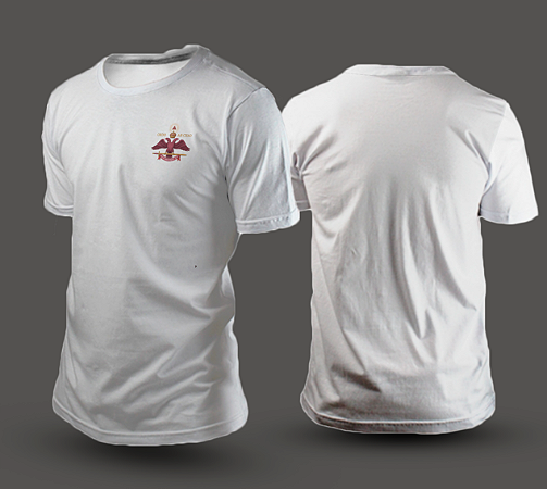 Camiseta Básica Premium 100% Algodão - Grau 33