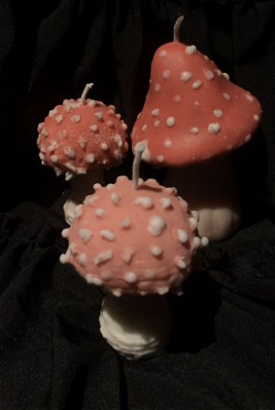 Kit Cogumelos Mágicos