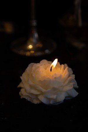 Peônia Branca (Baunilha)