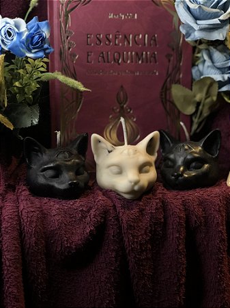 Kit Gato Místico (três vidas)