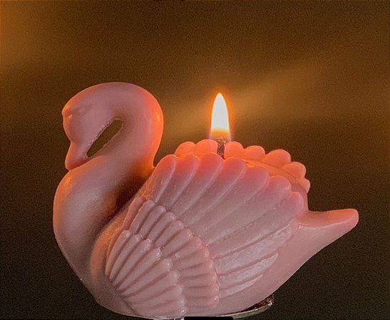 Cisne Selvagem (rosa)