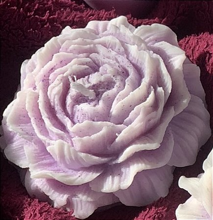 Peônia Lilás (Lavanda Francesa)