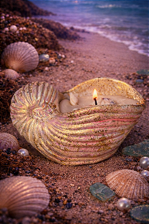 Concha dos Sonhos (Branca)