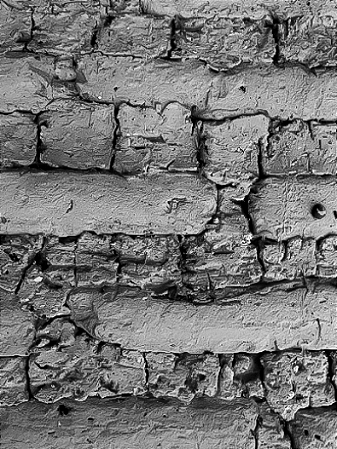 TEXTURAS DO JALAPÃO (2021)