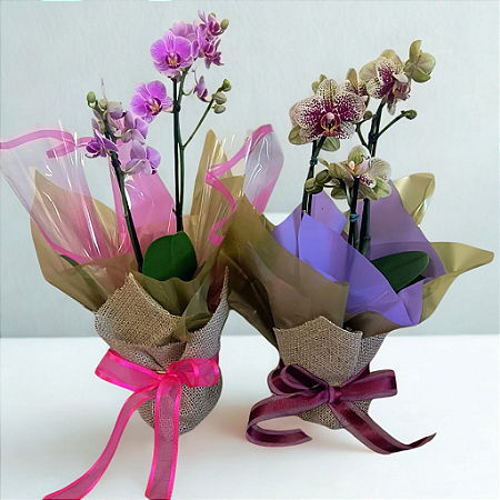 Orquídea Decorada ( 1 Un - Pt 09)