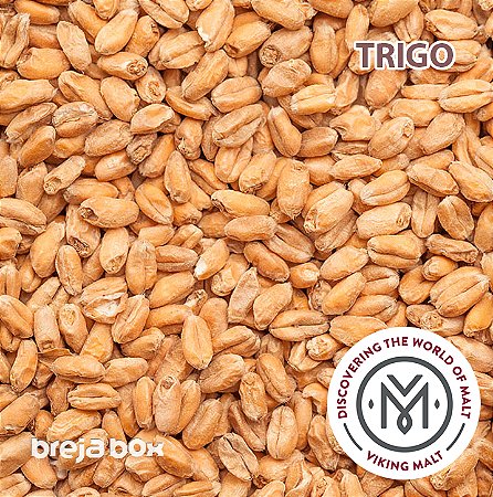 Malte de Trigo Viking Malt | 3 - 5 EBC