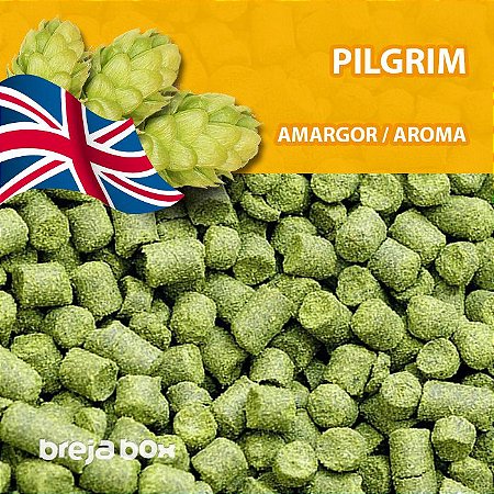 Lúpulo Pilgrim - 50g em pellet