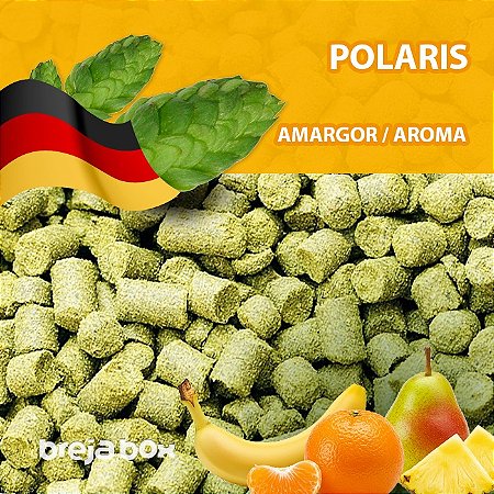 Lúpulo Polaris - 50g em pellet