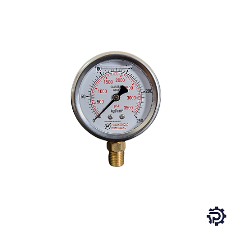 Manômetro Inox 100mm Glicerina 1/2" NPT Saída Vertical - Escala a definir abaixo