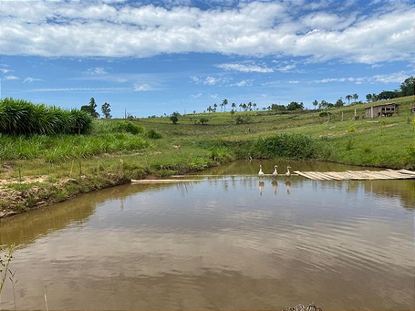 Sitio de 2 hectares Estr. Mato Fino Pda. 105 RS020