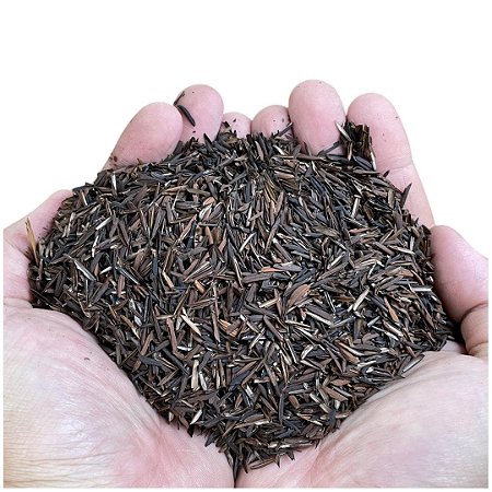 Palha de arroz carbonizada 5 litros/ 600 gramas (em media)
