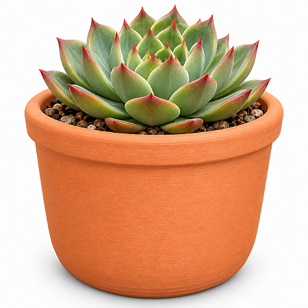 Vaso de Cerâmica Terracota 18 cm para plantas em geral
