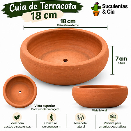 Kit Completo 15 Mini Cactos + Bacia + Substrato + Argila