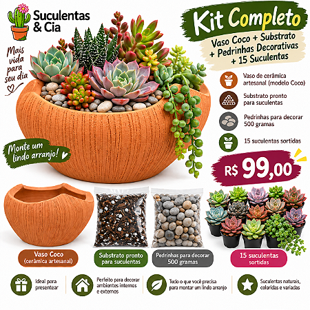 Kit com 15 Mini Suculentas + Vaso + Substrato + Pedrinha